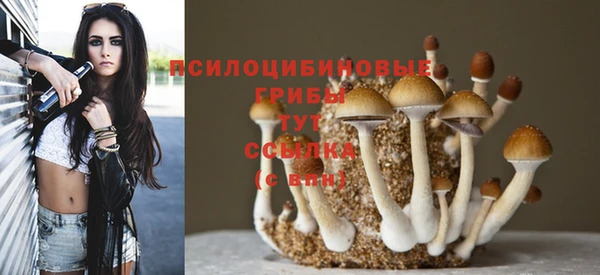 прущая мука Няндома