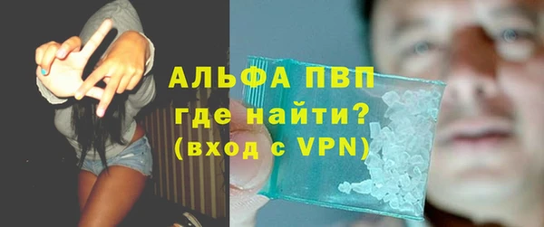 эйфоретик Новозыбков