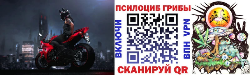 Галлюциногенные грибы Psilocybe  OMG зеркало  Баймак 